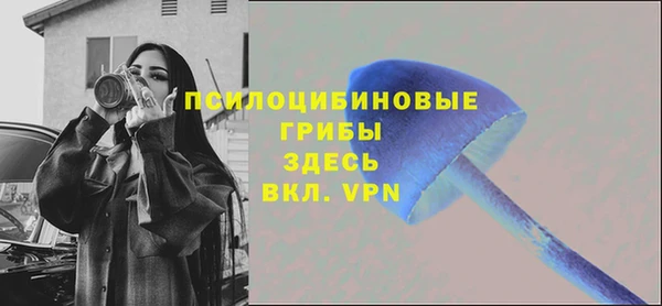 apvp Армянск