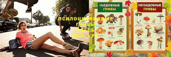 дживик Арсеньев