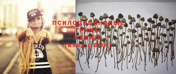 дживик Арсеньев