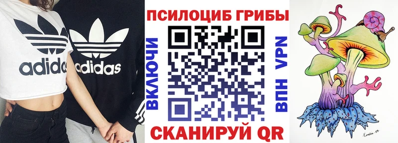 Псилоцибиновые грибы Magic Shrooms  где можно купить   Соль-Илецк 